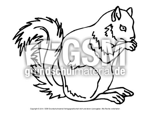 Ausmalbild-Eichhörnchen-B 4.pdf